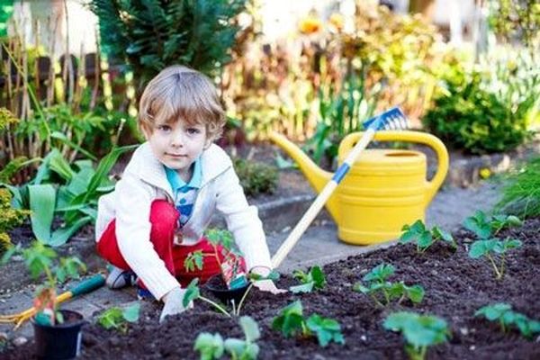 درمان با گل‌وگیاه، راهی مؤثر برای تخلیه روانی کودکان است