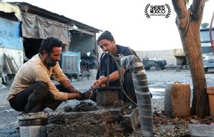 «خو» برنده جایزه بهترین فیلم از جشنواره جهانی فیلم کوتاه مکزیک شد