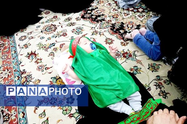 مجمع جهانی شیرخوارگان حسینی در کاشمر 