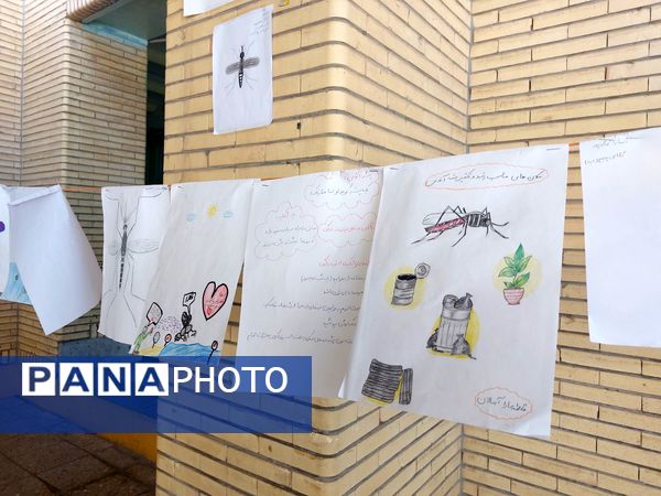 پشه آئدس سوژه نقاشی دانش‌آموزان شد