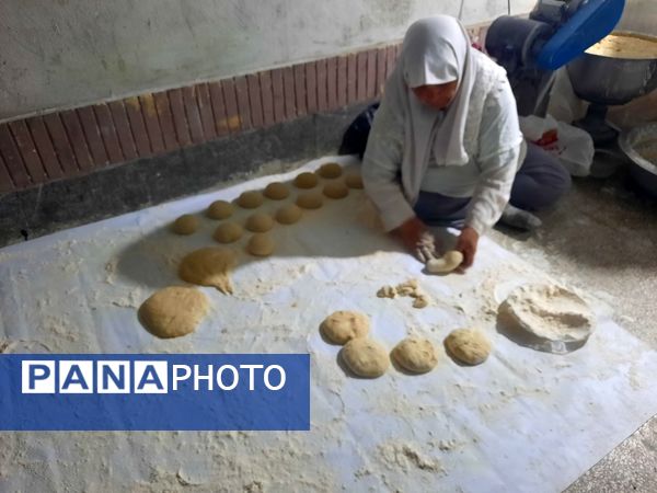 زائران پیاده شهرستان فردوس در دبیرستان شاهد مهدی حکمت