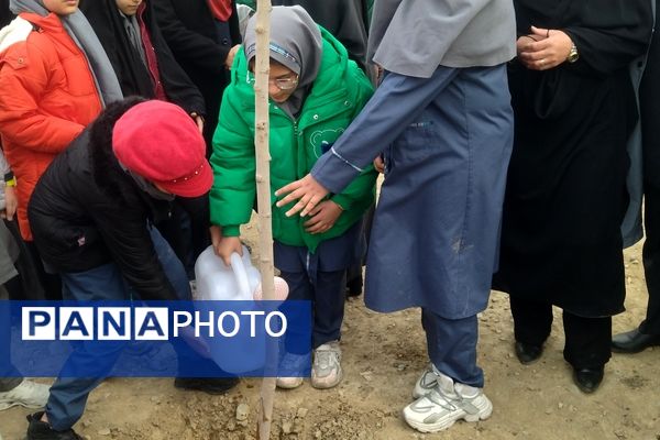 برگزاری مراسم روز درختکاری در شهرک وحدت شهرستان فردیس 