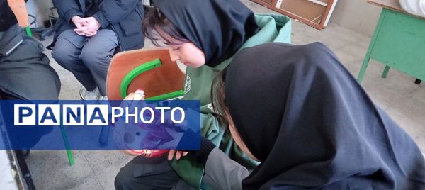 برگزاری کارگاه آموزشی تشریح قلب در آموزشگاه دخترانه عصمت ملارد