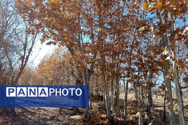 خزان زیبا در کوچه باغ‌های شهر بهمن