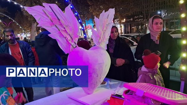 جشن فاطمی در شهرستان کاشمر