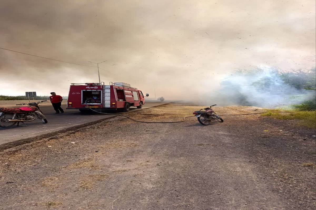 مهار سریع آتش‌سوزی در جنت‌مکان گتوند توسط یگان حفاظت منابع طبیعی