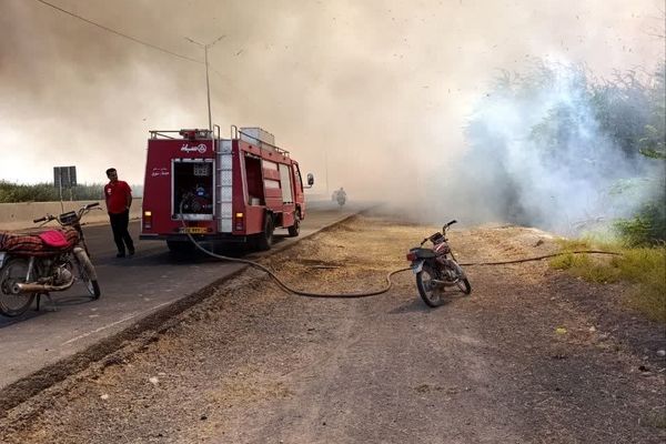 مهار سریع آتش‌سوزی در جنت‌مکان گتوند توسط یگان حفاظت منابع طبیعی