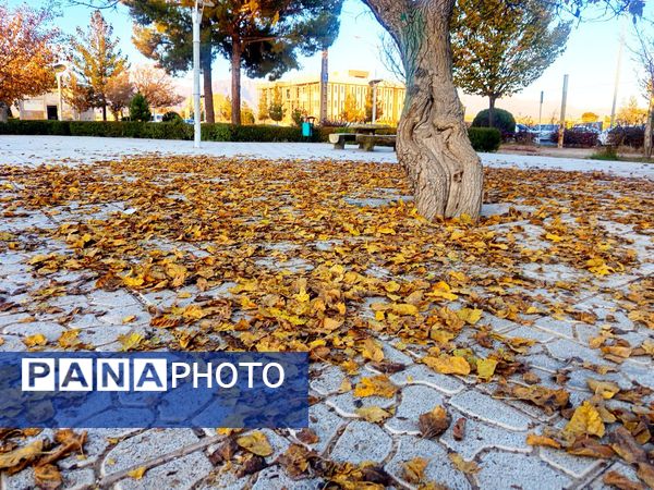 طبیعت زیبای کاشمر در پاییز