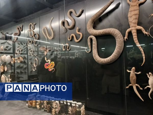 بازدید از پارک علمی تفریحی پروفسور بازیما مشهد