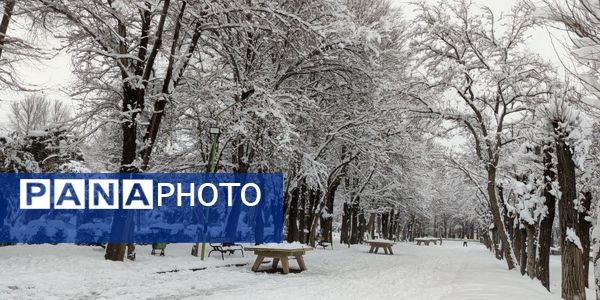 سکوت برفی بروجن، قلب شهر را به تپش انداخت