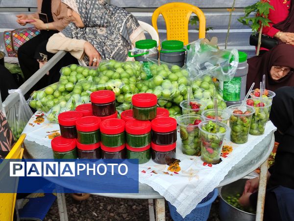 چهارمین جشنواره آلوچه در شهرستان صومعه‌سرا