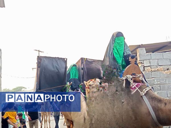آیین باشکوه کاروان شام تا کربلا در میناب