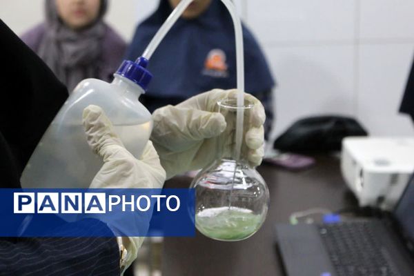 کارگاه علمی دانشآموزی زیست محیطی یزد