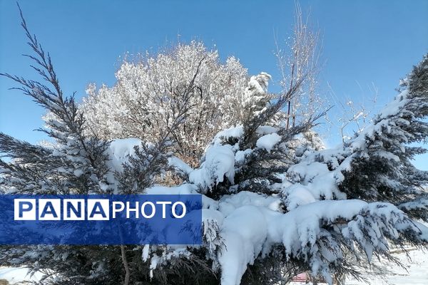 برف زمستانی مهمان دوباره‌ بروجن