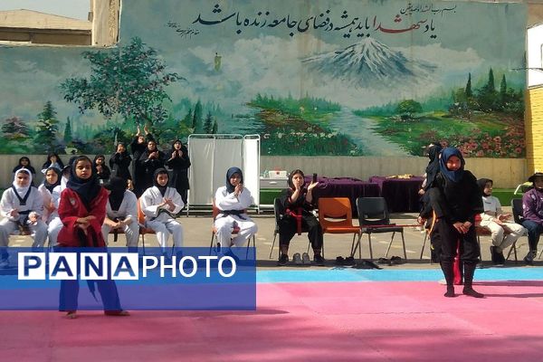 المپیاد درون مدرسه‌ای دبیرستان شاهد تکتم