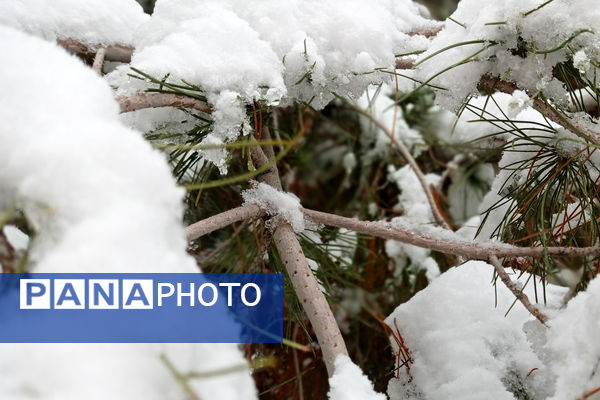 یک روز برفی در روستای بنادکوک‌ دیزه