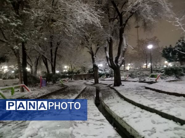 بارش برف در مشهد