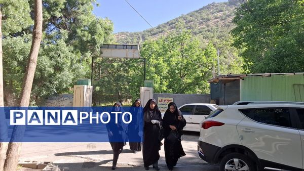 همایش پیاده‌روی کارکنان آموزش‌وپرورش کهگیلویه و بویراحمد به مناسبت هفته معلم و ولادت امام رضا (ع)