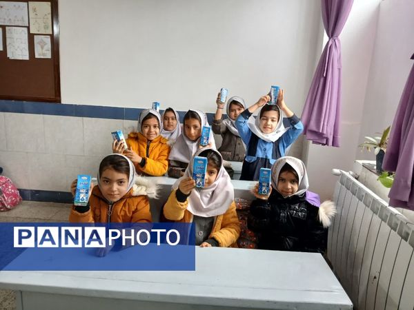 آغاز توزیع شیر در دبستان شهید نجفی فدافن