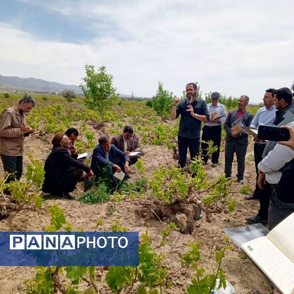 کلاس آموزشی تغذیه باغات انگور در شهر تیتکانلو