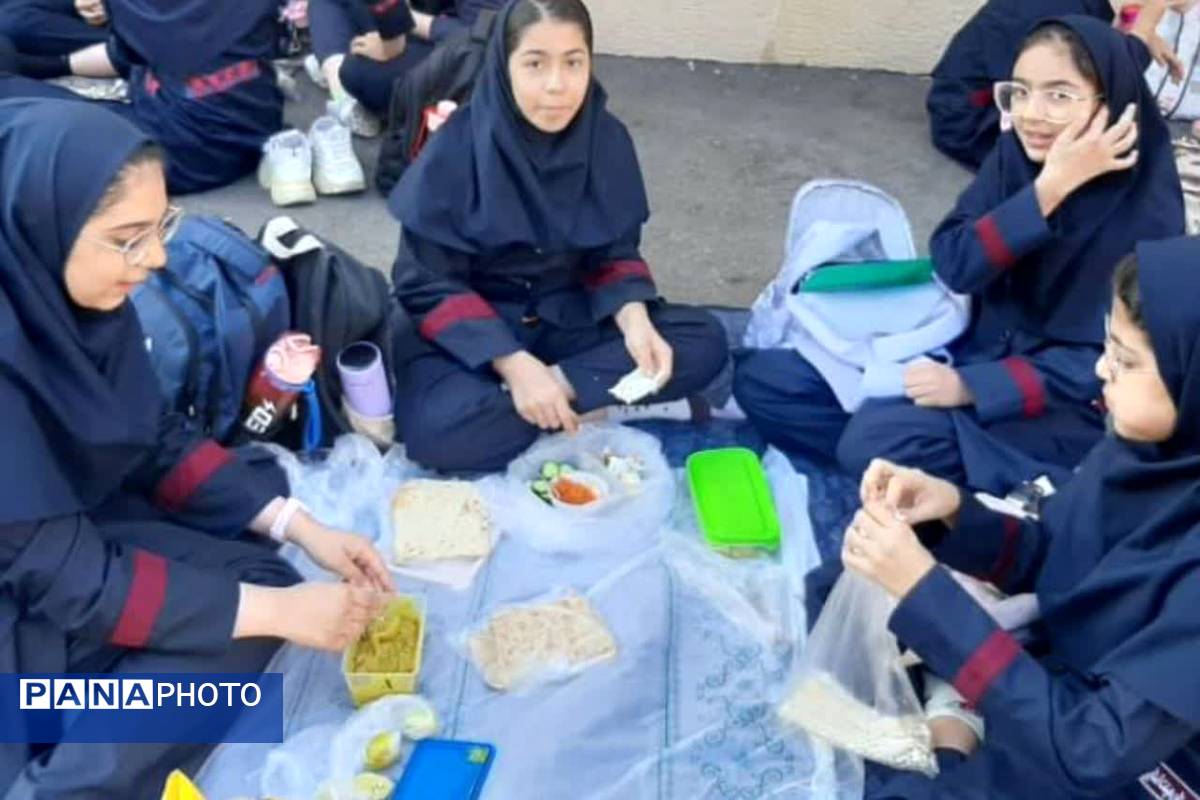 تضمین نشاط هفته با یک لقمه سلامتی