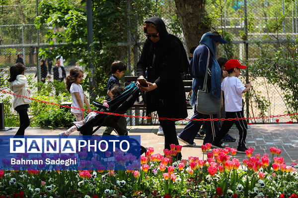 فصل لاله‌ها در بوستان باغ ایرانی