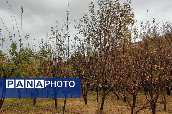 اولین باران پاییزی قابی شفاف از پاییز  رنگارنگ را در شهر زیبای بار رقم زد