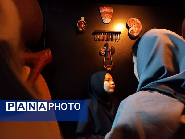 بازدید از پارک علمی تفریحی پروفسور بازیما مشهد