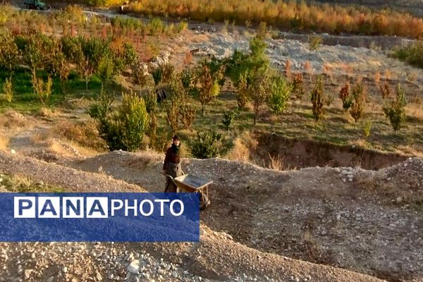 تصاویر زیبا از پاییز رنگارنگ در شهر دار السادات بار نیشابور 