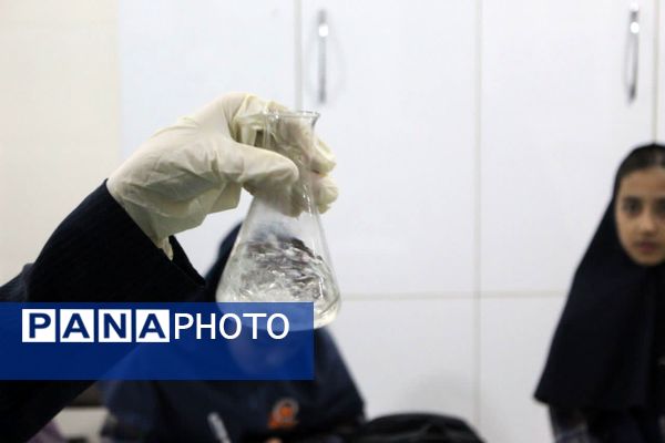 کارگاه علمی دانشآموزی زیست محیطی یزد