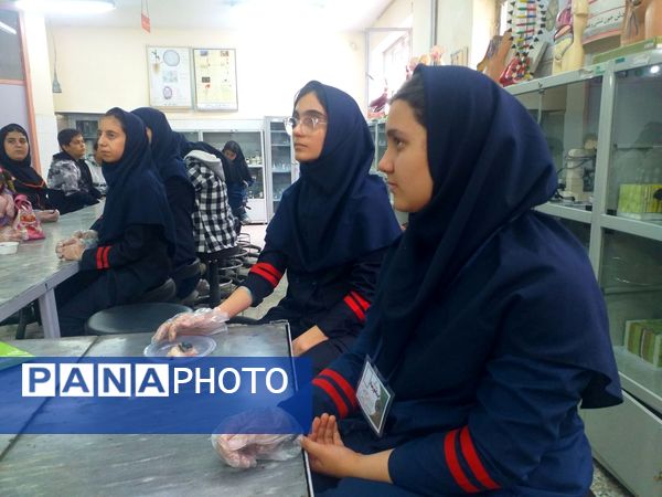 برگزاری کلاس‌های علمی و پژوهشی در پژوهشسرای بوعلی سینا شهرستان ملارد