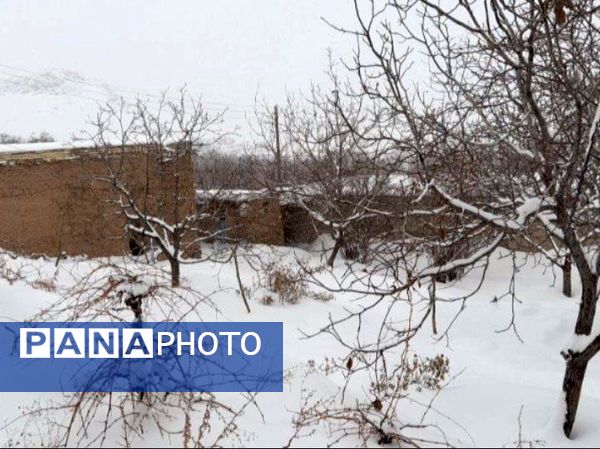 برف زمستانی، مهمان شهرستان کیار
