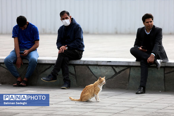 تهران در آرامش _  ۵ آبان ۱۴۰۳