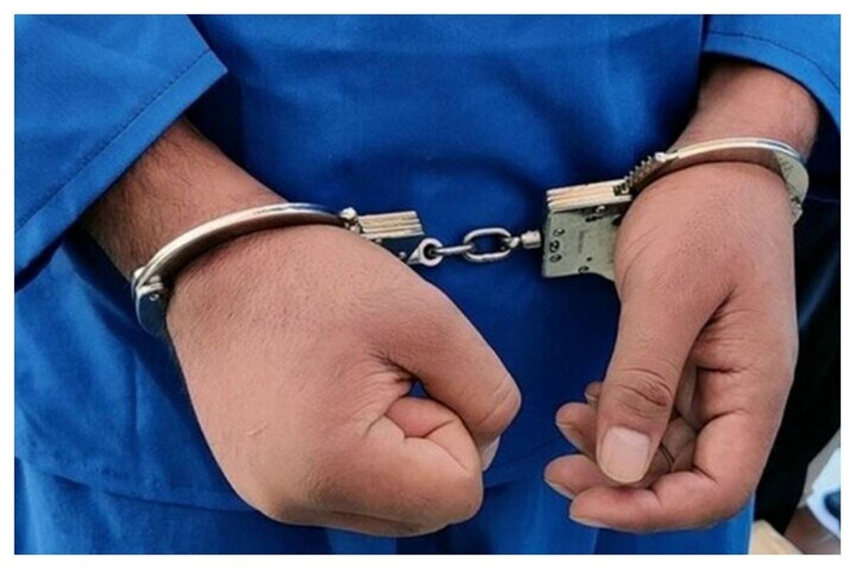 عامل شرارت و نزاع دسته جمعی در محله پیروزی تهران دستگیر شد