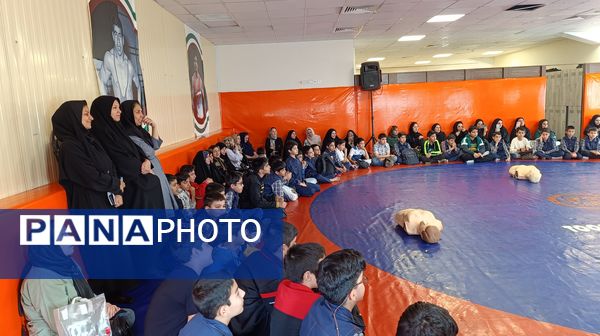 جشنواره آموزشی نبض زندگی در ناحیه ۷ آموزش و پرورش مشهد مقدس