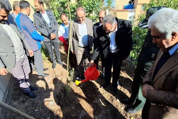 غرس نهال در مرند با شروع سال تحصیلی جدید