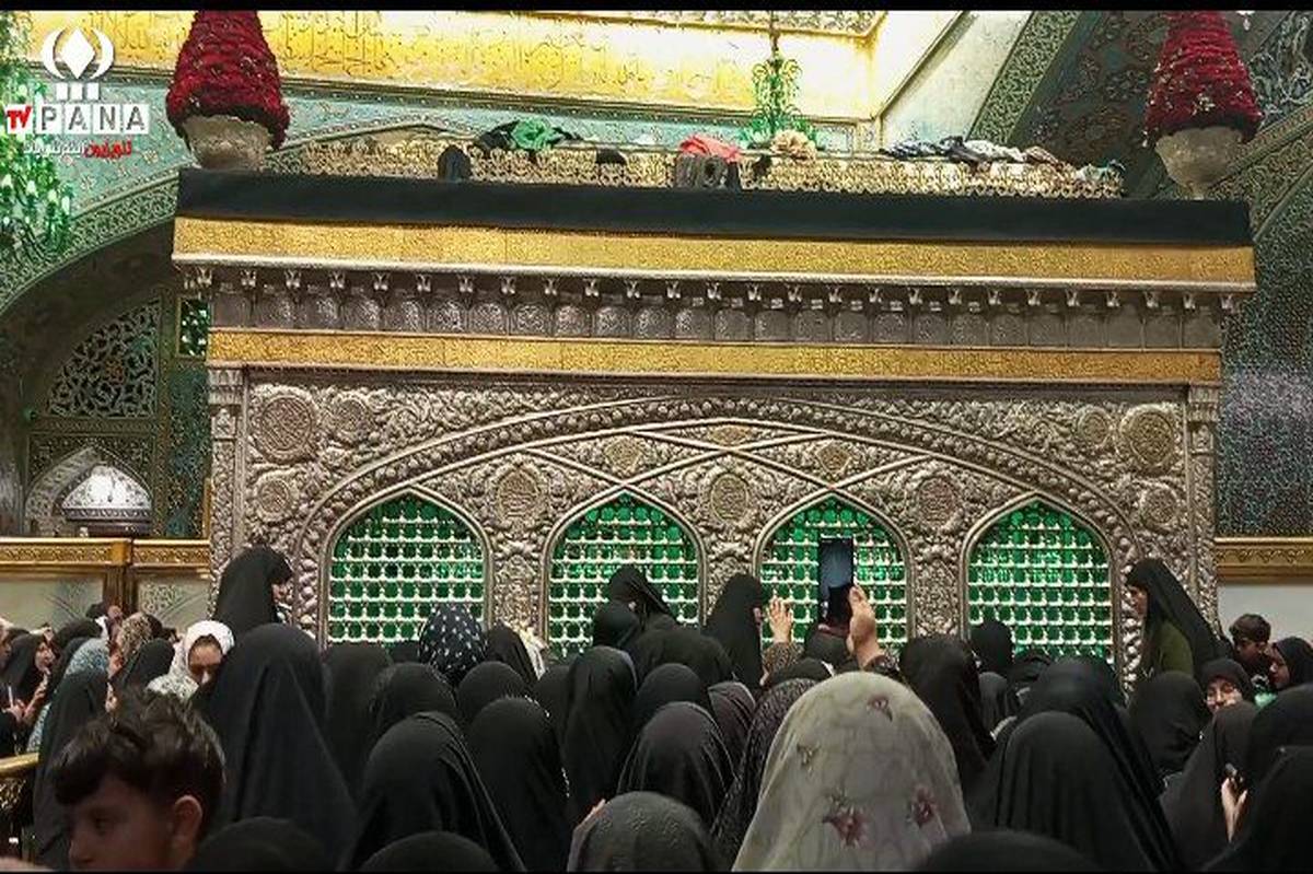 قدم قدم تا رضا، قصه دلدادگیها در جادههای منتهی به بهشت