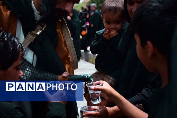 زابل در ماتم حسین؛ گلزار شهدا شهرستان زابل میزبان اشک و شور عزاداران حسینی