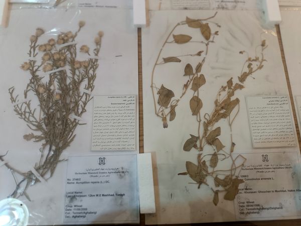 گام خبرنگاران در مسیر تنوع زیستی