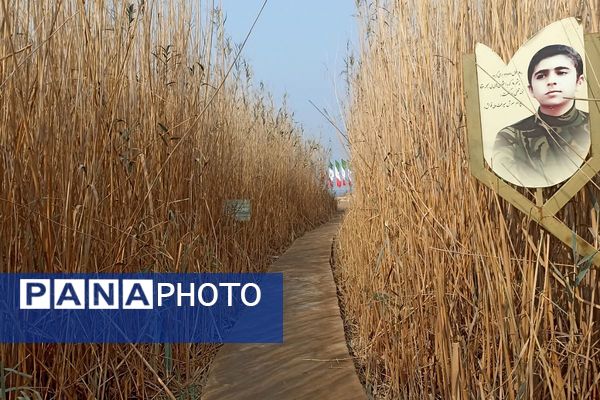 راهیان نور در مسیر نور