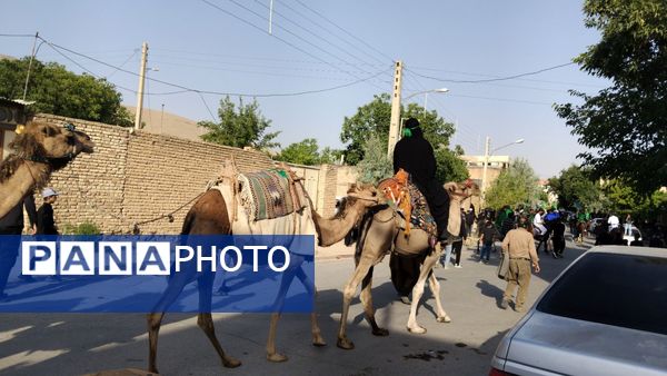علم‌ گردانی آیین‌ هر ساله‌ شهر وردنجان