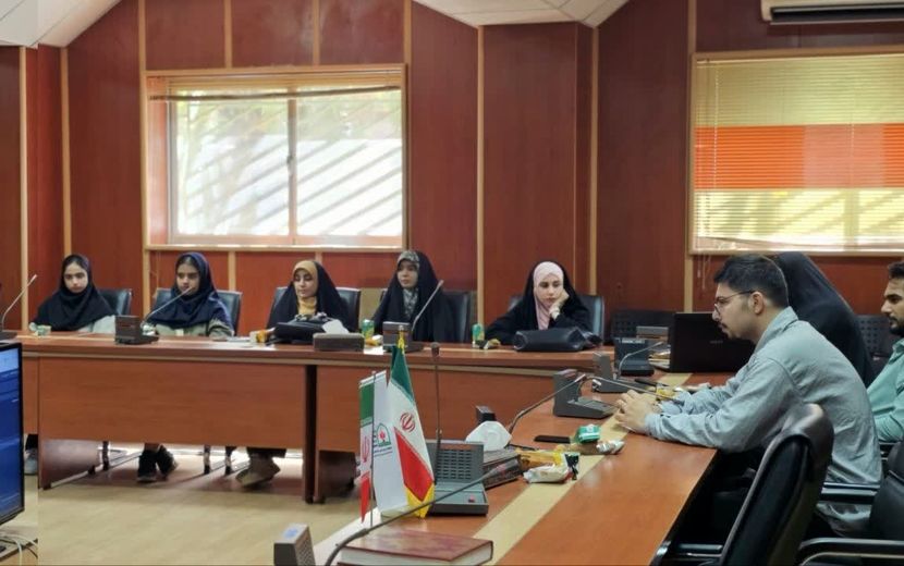 کارگاه آموزشی «نوراوی مهر» خبرگزاری پانا در بستر فضای مجازی برگزار شد