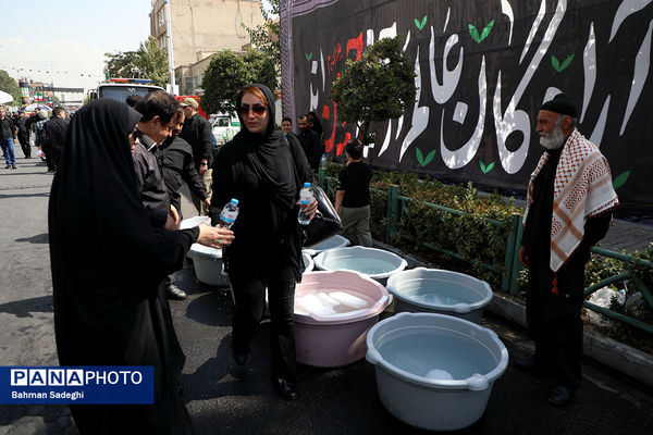 جاماندگان اربعین حسینی - تهران