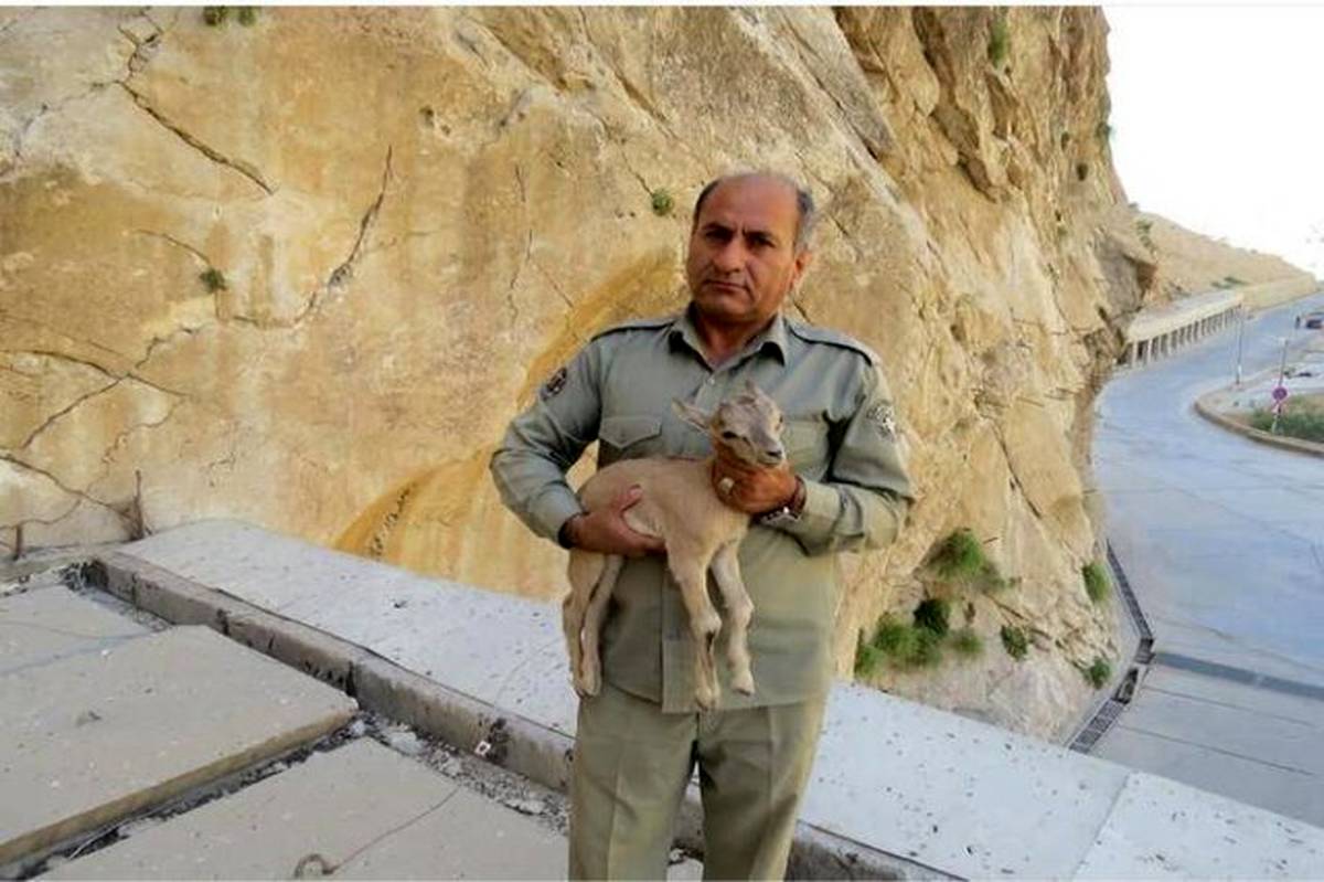 دومین قاتل شهید دیدهبان دستگیر شد