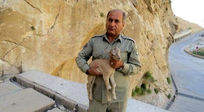 دومین قاتل شهید دیده‌بان دستگیر شد