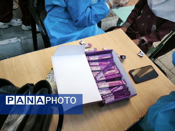 وارنیش فلوراید در دبستان شطیطه2