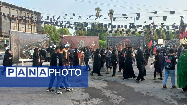 جاماندگان اربعین سفر به کربلا با دل و جان 