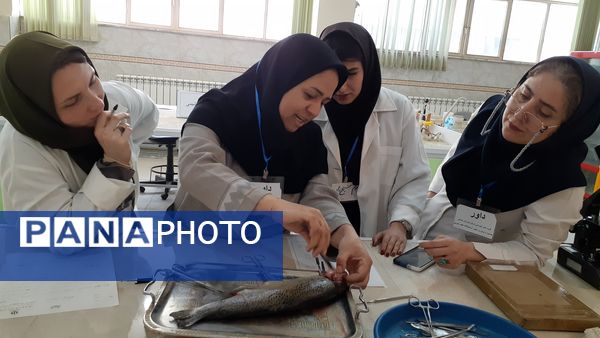 برگزاری مرحله استانی جشنواره نوآوری در بجنورد