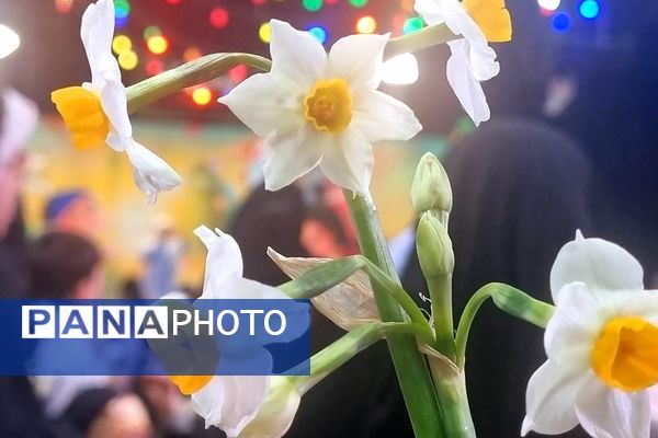 جشن بزرگ نیمه شعبان به همت هیات شباب الرضا در مشهد