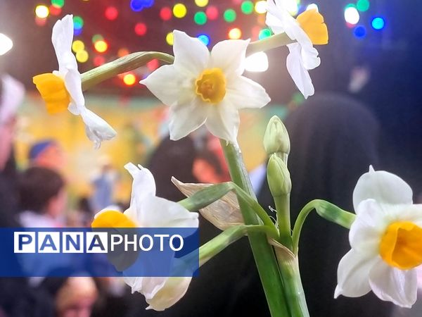 جشن بزرگ نیمه شعبان به همت هیات شباب الرضا در مشهد